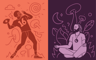 Functional mushrooms for athletes: An introduction