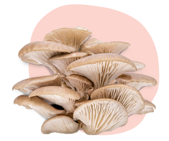 Oyster