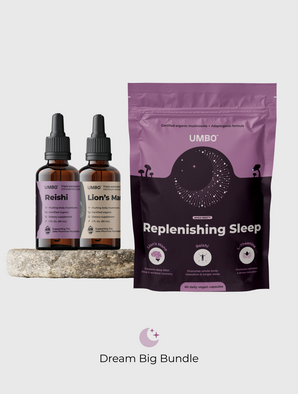 The Dream Big Bundle