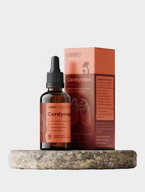 The Functional Four Mushroom Tincture Bundle