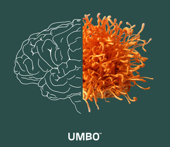 Umbo Cordyceps Brain