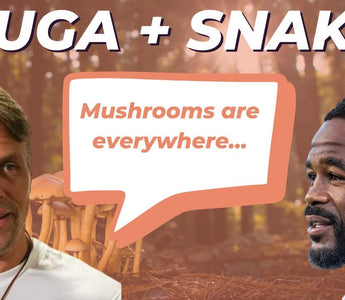 The Future is Fungi: Functional Mushrooms for Health — Suga Snake Takes