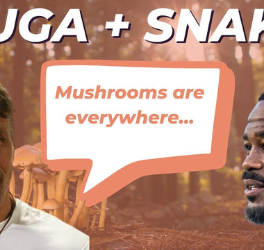 The Future is Fungi: Functional Mushrooms for Health — Suga Snake Takes