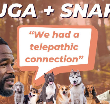 The Pros & Their Pets — Suga Snake Takes
