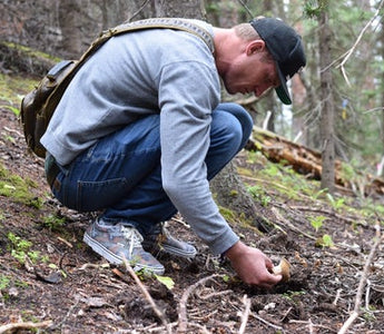 Del’s Journey From Activism to Foraging