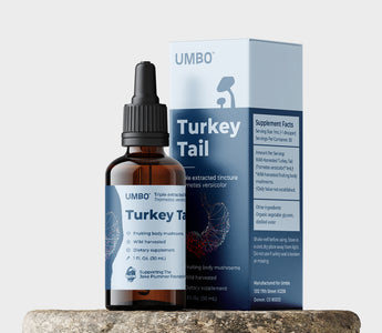The best Turkey Tail mushroom tincture
