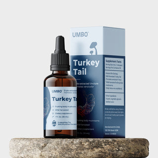 The best Turkey Tail mushroom tincture