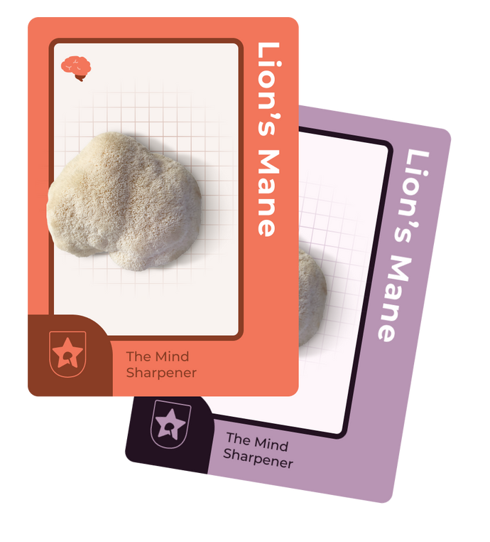 Lion's Mane functional mushroom for athletes: The Mind Sharpener