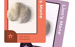 Lion's Mane functional mushroom for athletes: The Mind Sharpener