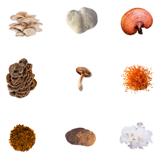 choosing the right functional mushroom for your sport