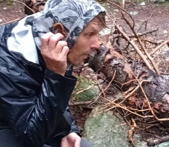 Listening To The Woods