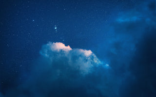 Functional Mushrooms and Sleep