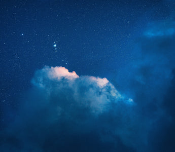 Functional Mushrooms and Sleep