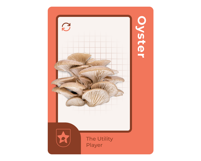 Oyster functional mushroom for athletes: The Utility Player