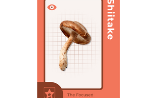 Shiitake functional mushroom for athletes: The Focused Playmaker