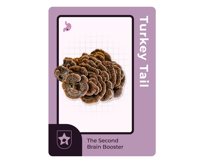 Turkey Tail functional mushroom for athletes: The Second Brain Booster
