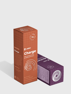 Charge & Recharge Everyday Tincture Bundle