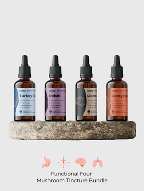 Functional Four Mushroom Tinctures - 12 Pack
