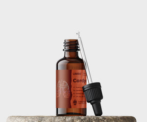 Triple-Extracted Cordyceps Mushroom Tincture