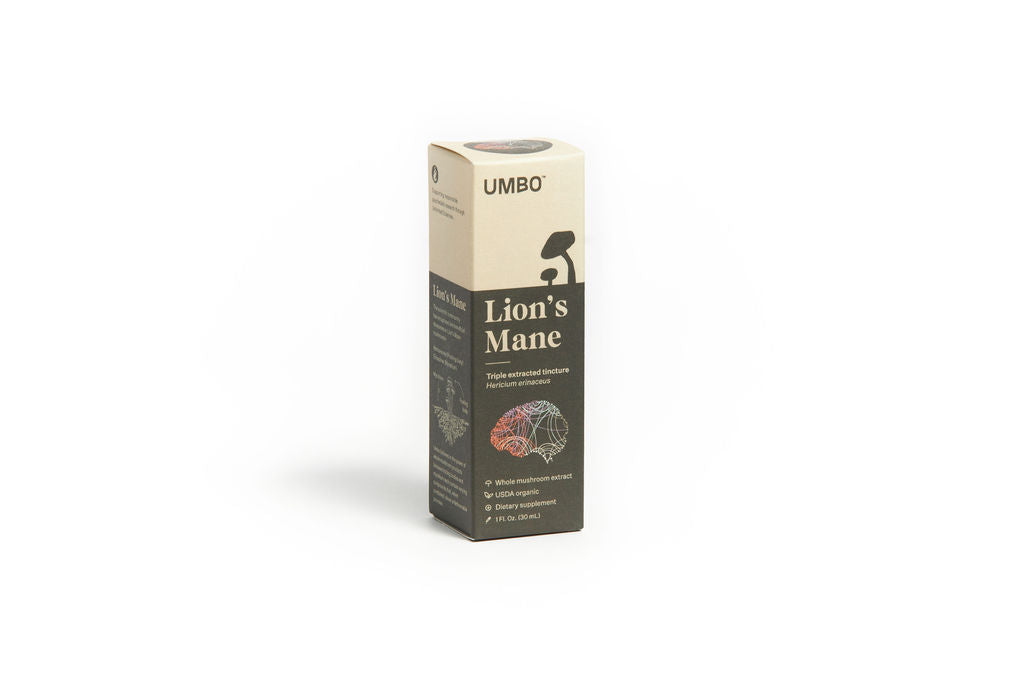 Lion's Mane Tincture - 3 Pack (Special Offer)