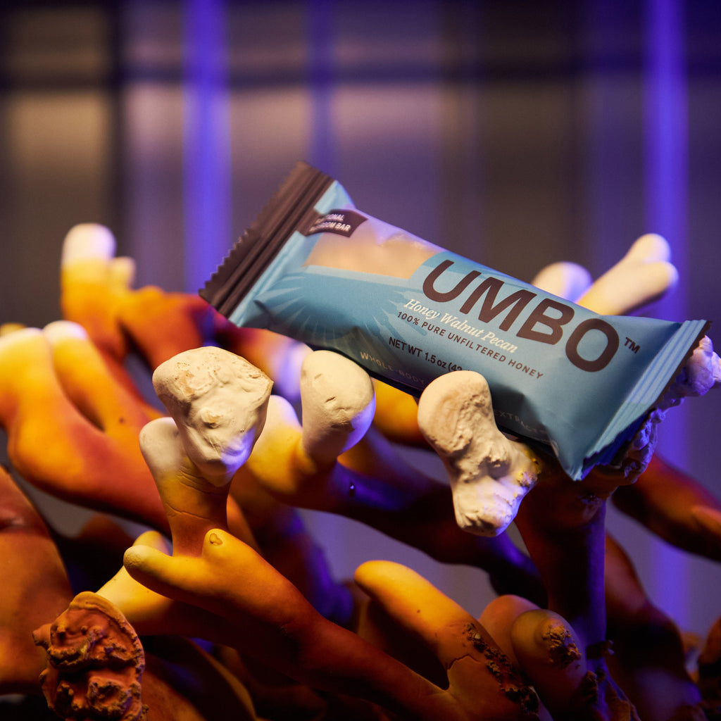 UMBO-Functional-Mushroom-Bar-Cordyceps